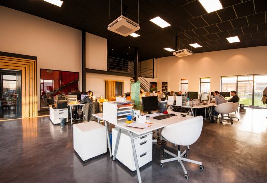 startup opportunities