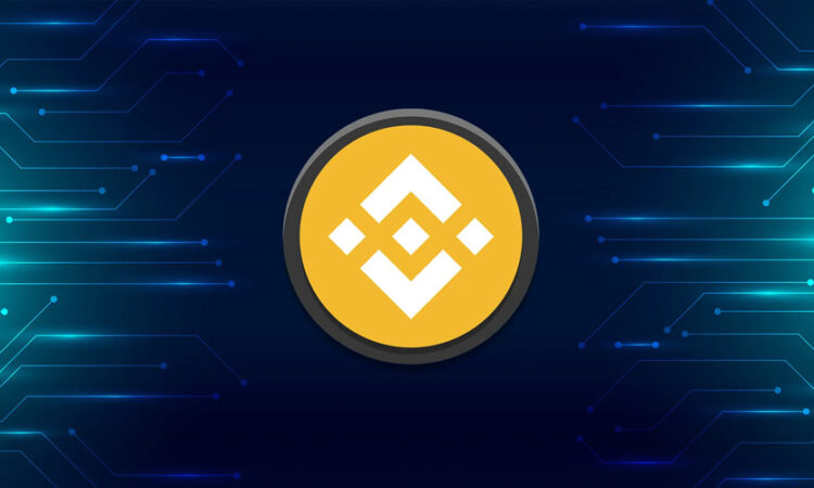Binance Coin Burn