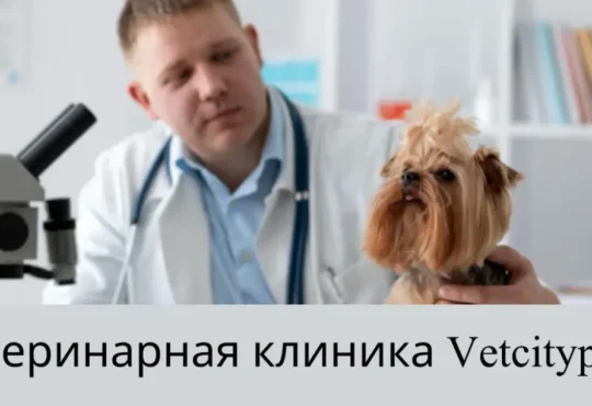 Ветеринарная Клиника Vetcitypets