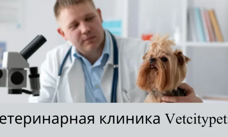 Ветеринарная Клиника Vetcitypets