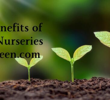 The Benefits Of Plant Nurseries Webfreen.com