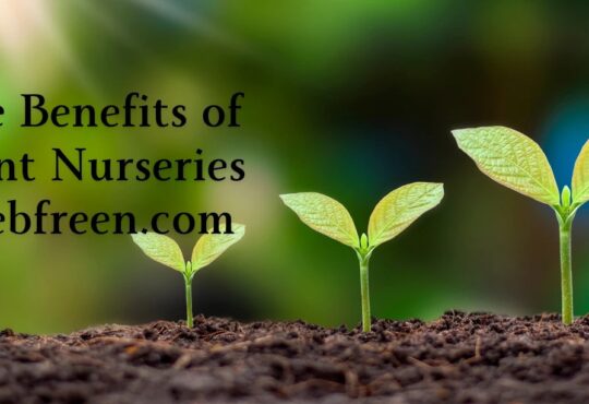 The Benefits Of Plant Nurseries Webfreen.com