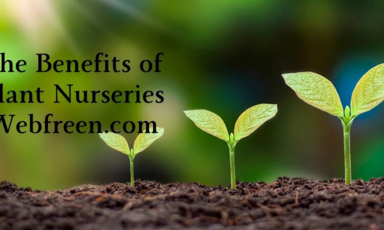 The Benefits Of Plant Nurseries Webfreen.com