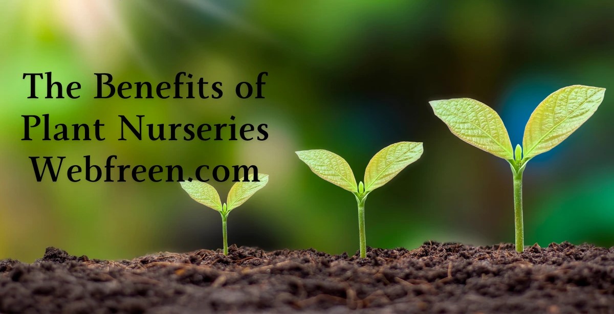 The Benefits Of Plant Nurseries Webfreen.com