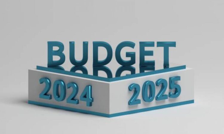 Budget 2024 Date