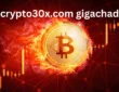 Crypto30x.com Gigachad