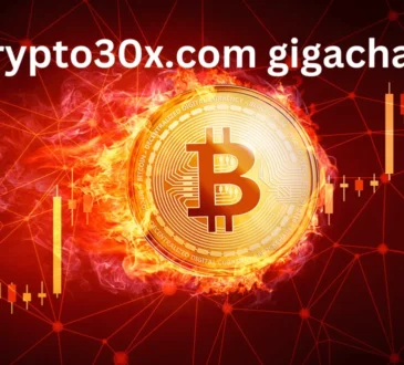 Crypto30x.com Gigachad