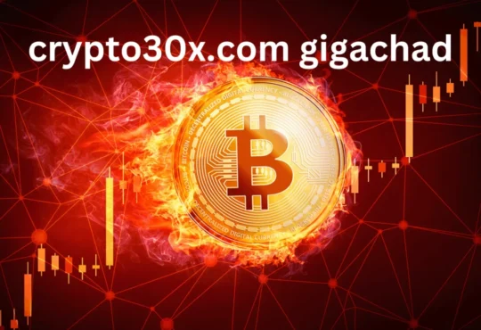 Crypto30x.com Gigachad