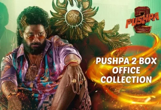 Pushpa 2 Collection