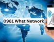 0981 What Network