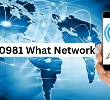 0981 What Network