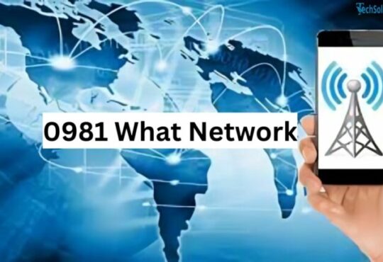 0981 What Network