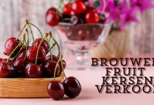 Brouwer Fruit - Kersen Verkoop