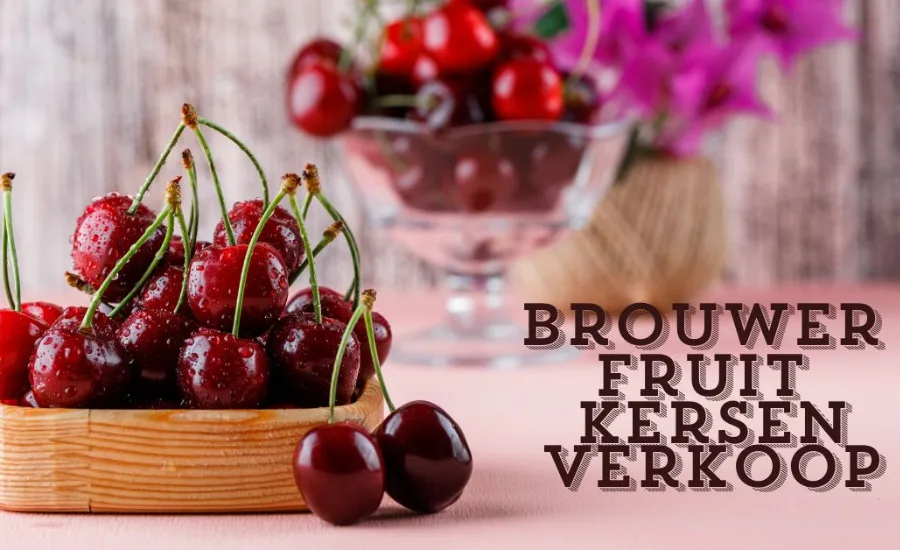 Brouwer Fruit - Kersen Verkoop