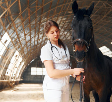 El Entrenamiento Equino: Presión Y Liberación Para Resultados Efectivos