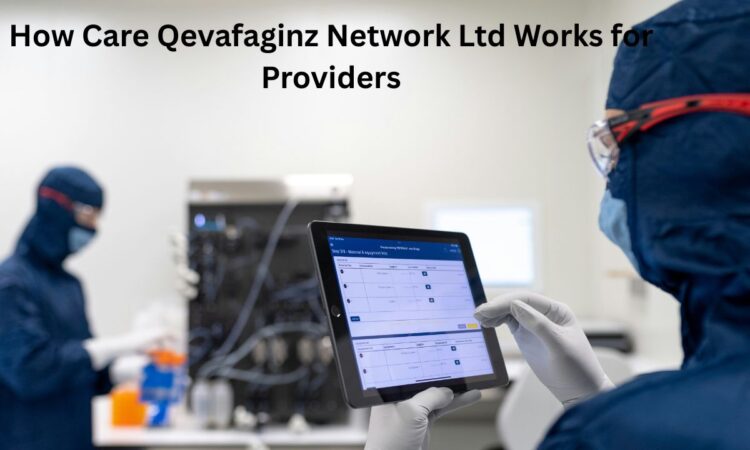 How Care Qevafaginz Network Ltd Works For Providers