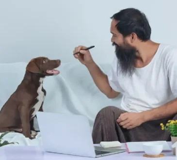 Ingredients In Qoghundos