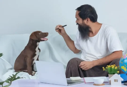 Ingredients In Qoghundos