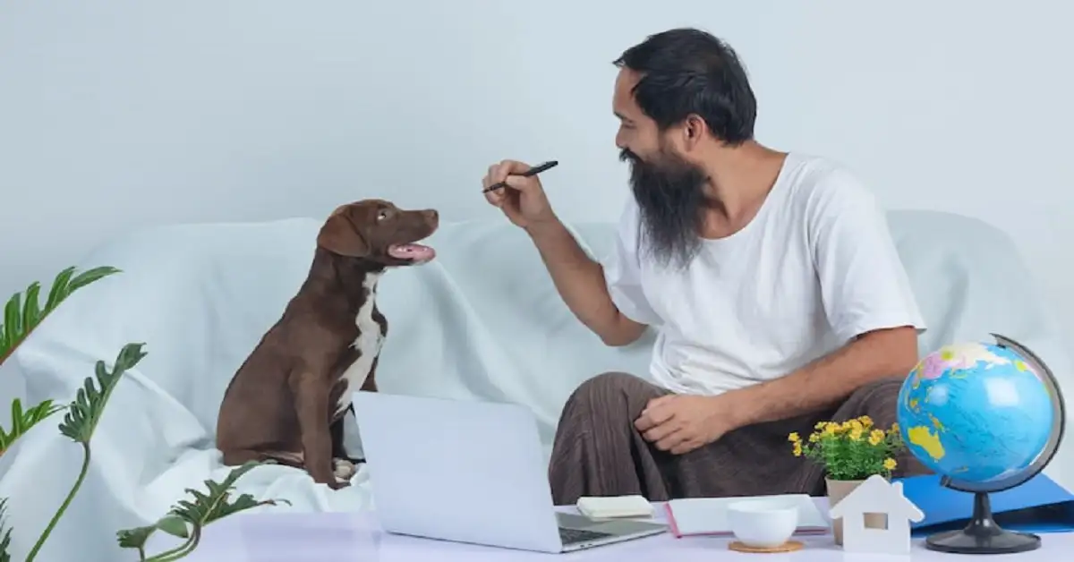 Ingredients In Qoghundos