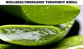 Wellhealthorganic Yurovskiy Kirill