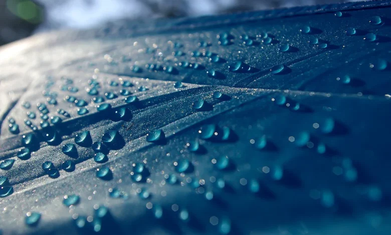 Where Can I Buy Fudholyvaz