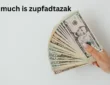 How Much Is Zupfadtazak