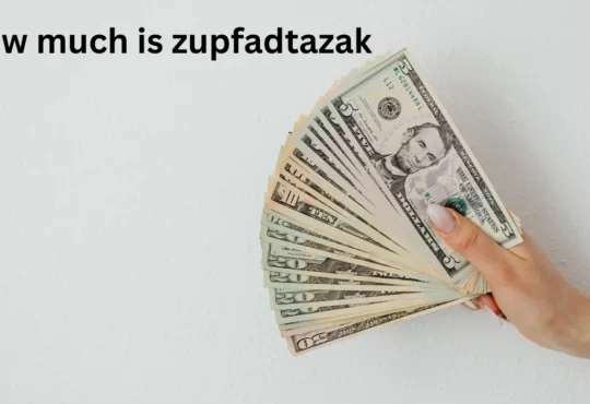 How Much Is Zupfadtazak