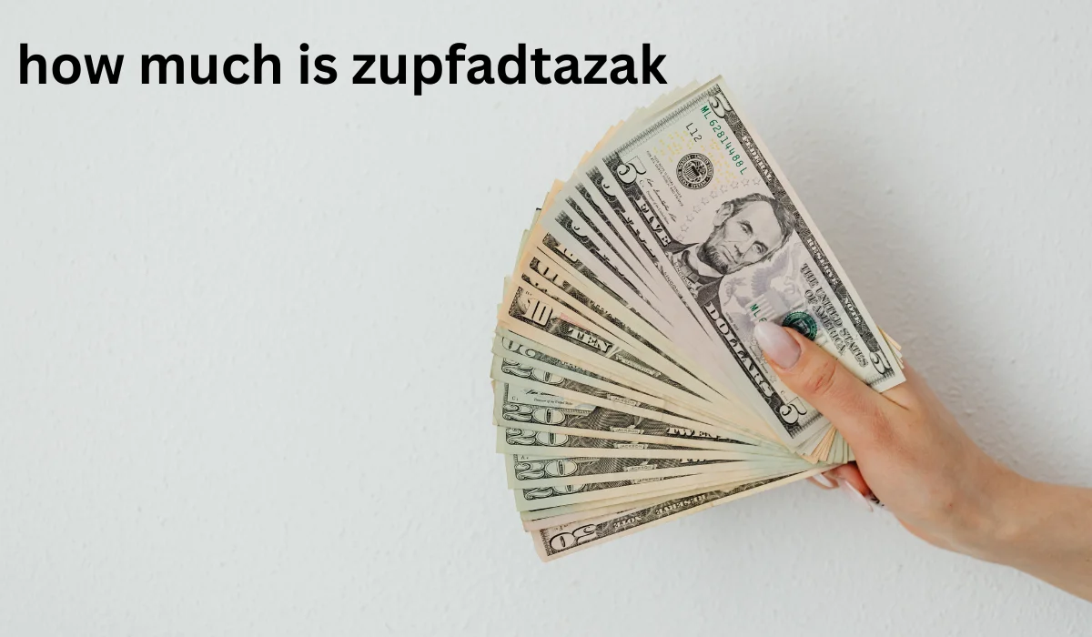 How Much Is Zupfadtazak