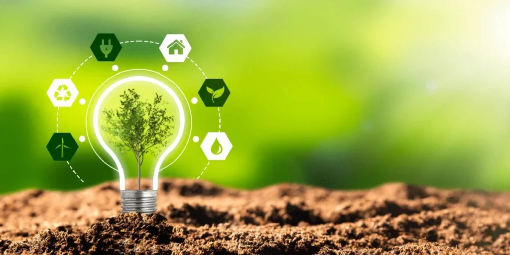 Kashyeportazza Ltd News