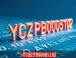 Ycbzpb00005102