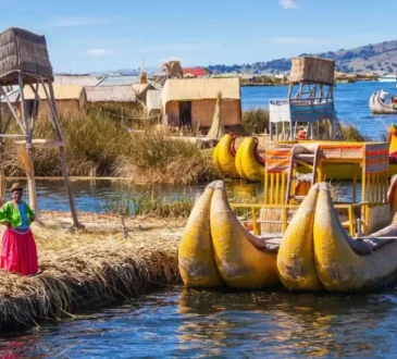 About Pellsontpultric