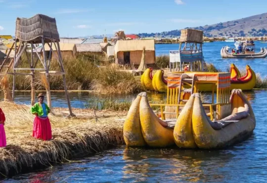 About Pellsontpultric