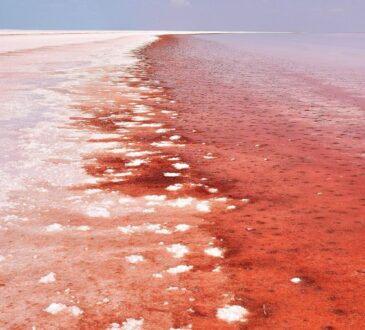 What Is Tuzofalotaniz