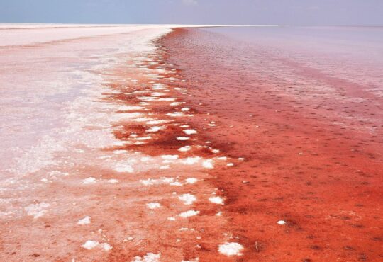 What Is Tuzofalotaniz