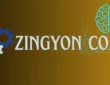 Zingyzon. Com