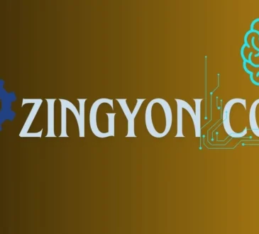 Zingyzon. Com