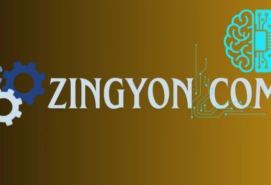 Zingyzon. Com